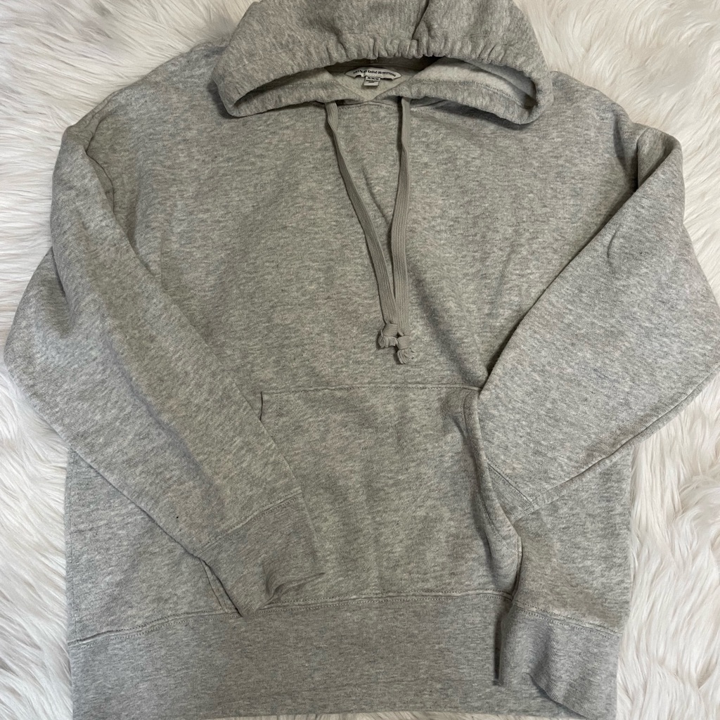 Ae Basic Hoodie